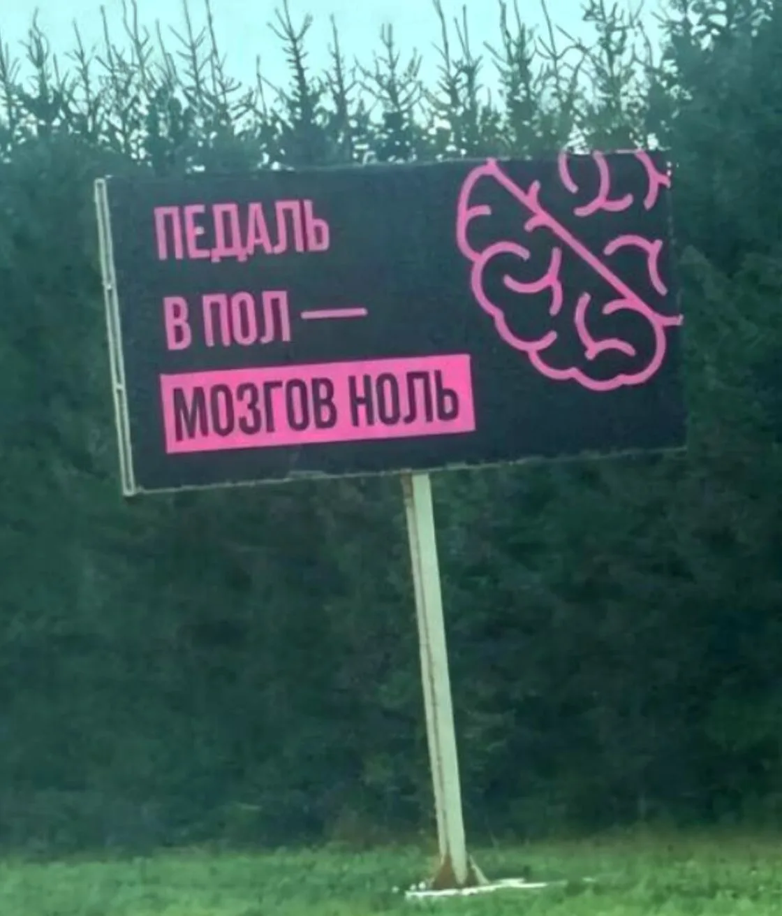 Лучшая область по ПДД😀