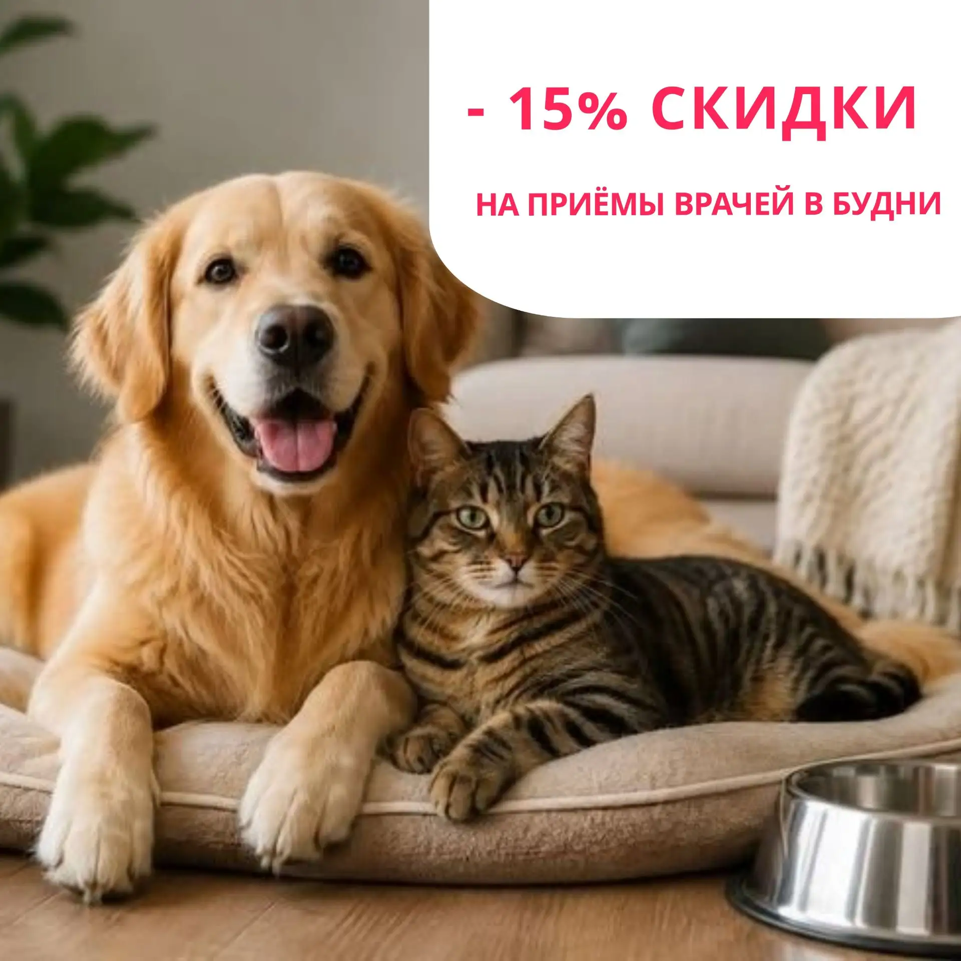 АКЦИЯ АВГУСТА В КЛИНИКЕ «САМИ С УСАМИ»