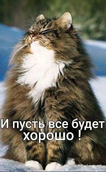 Список качественных каналов в МАКС | Смотреть ❤️