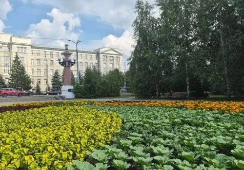 🌺🌷🌼Службы озеленения высадили в Омске более 500 тысяч цветов. Однолетние и многолетние растения у