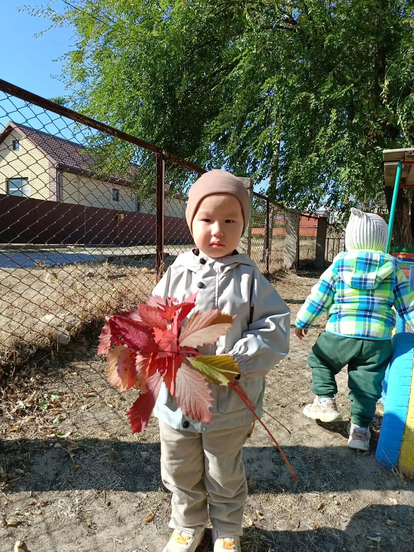 🍂 Золотая осень в самом разгаре — и наши малыши вовсю исследуют её чудеса! На прогулке...