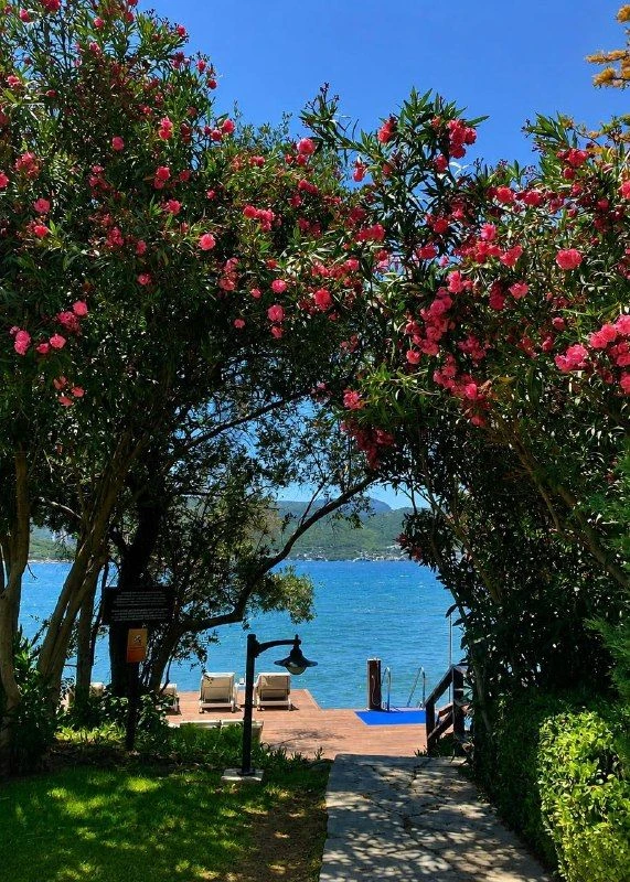В БОДРУМЕ ЕСТЬ ОТЕЛЬ, О КОТОРОМ ПОЧЕМУ-ТО ГОВОРЯТ СЛИШКОМ МАЛО 

 DoubleTree by Hilton Bodrum Isil C