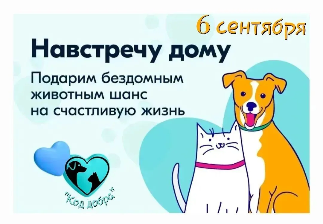 @kanev_hvostiki