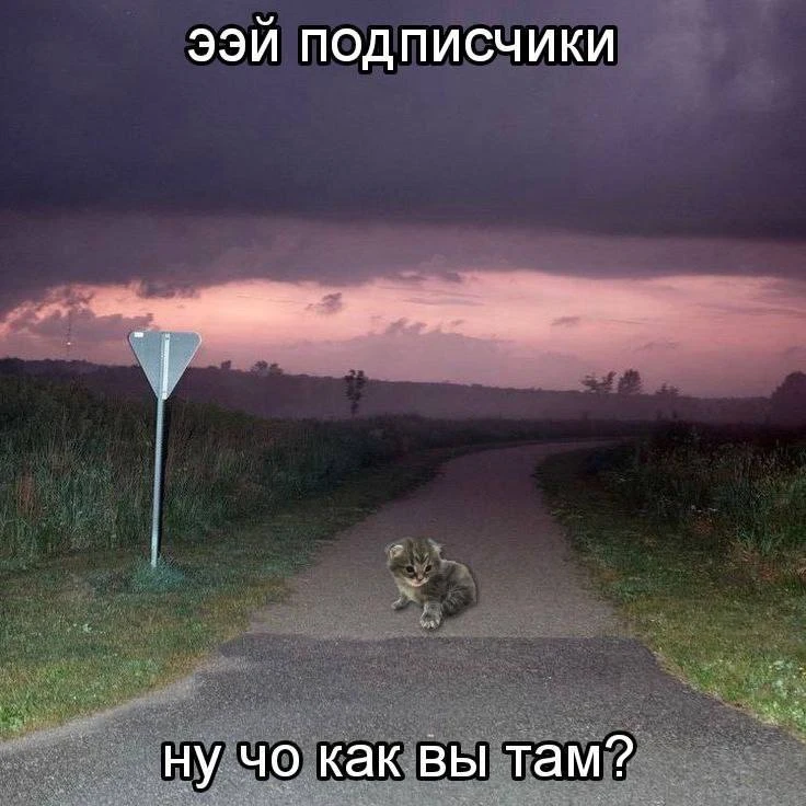 Как дела у вас? Всем доброе