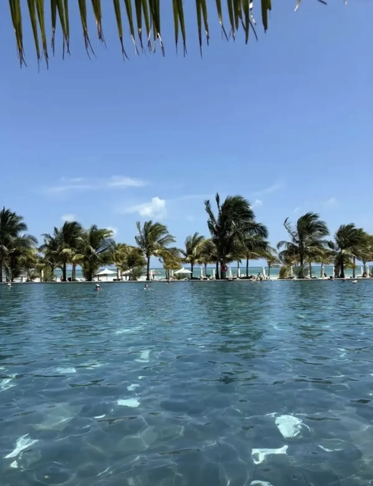 🌺 НОВЫЙ СЕМЕЙНЫЙ ОТЕЛЬ ВО ВЬЕТНАМЕ
🏝️Amiana Resort Cam Ranh 5* -  тишина, эстетика и бирюзовое мор