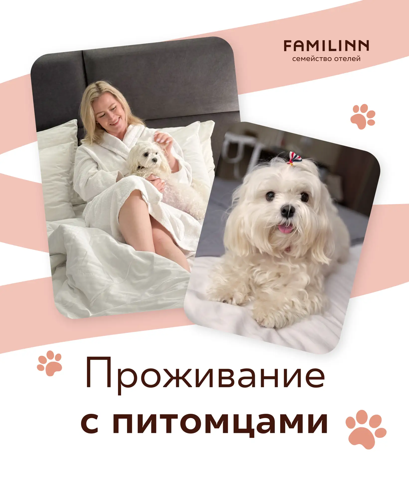 Проживание с питомцами в наших отелях