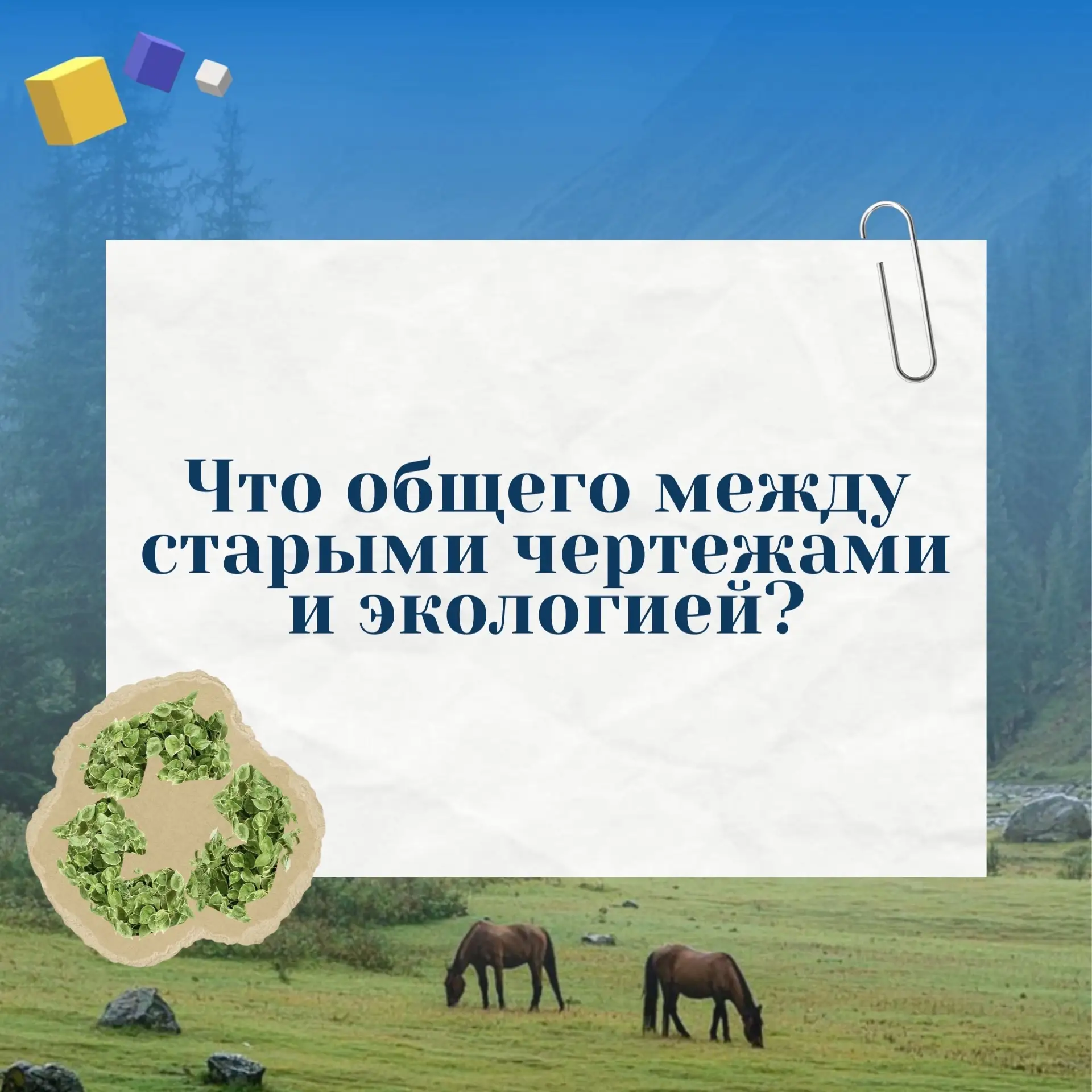 Что общего между старыми чертежами и экологией? Гораздо больше, чем вы думаете! ✨