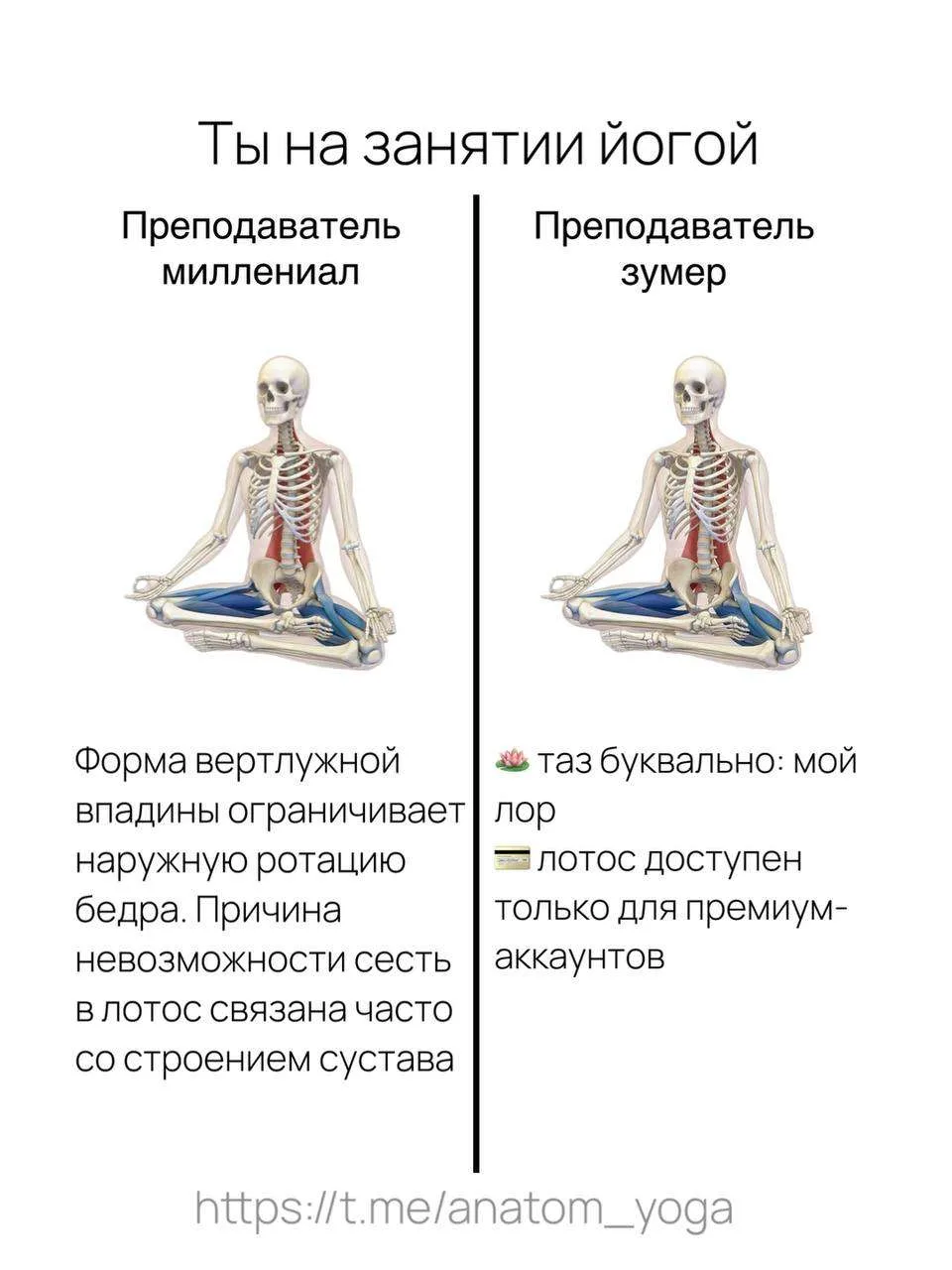 Вам какой язык больше нравится?)