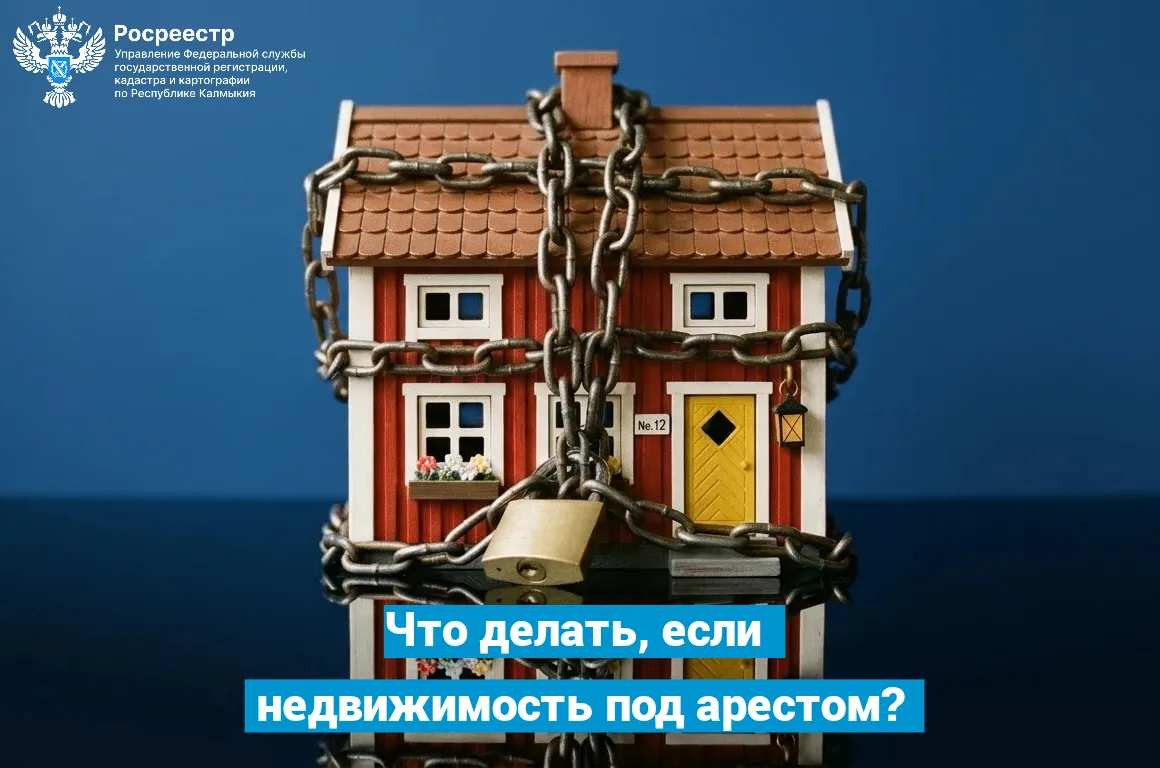 Что делать, если недвижимость под арестом?