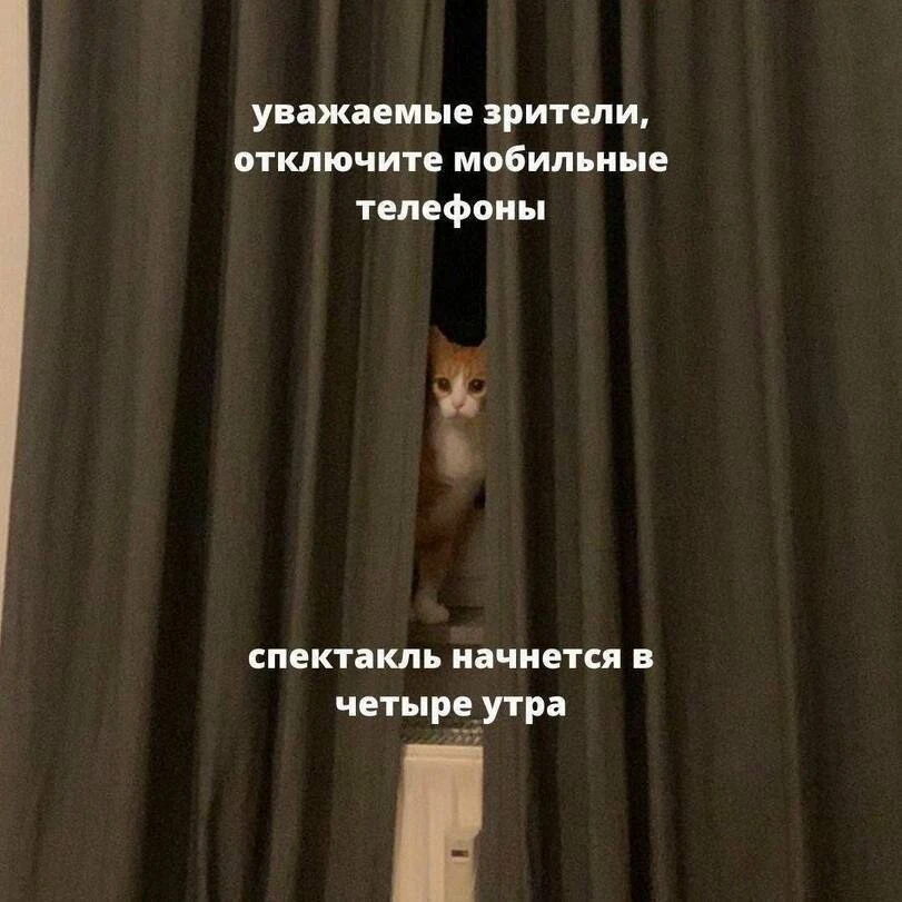 Спокойной ночи, дорогие! ✨

ПОДПИШИСЬ НА ДЕВЧОНОК✨