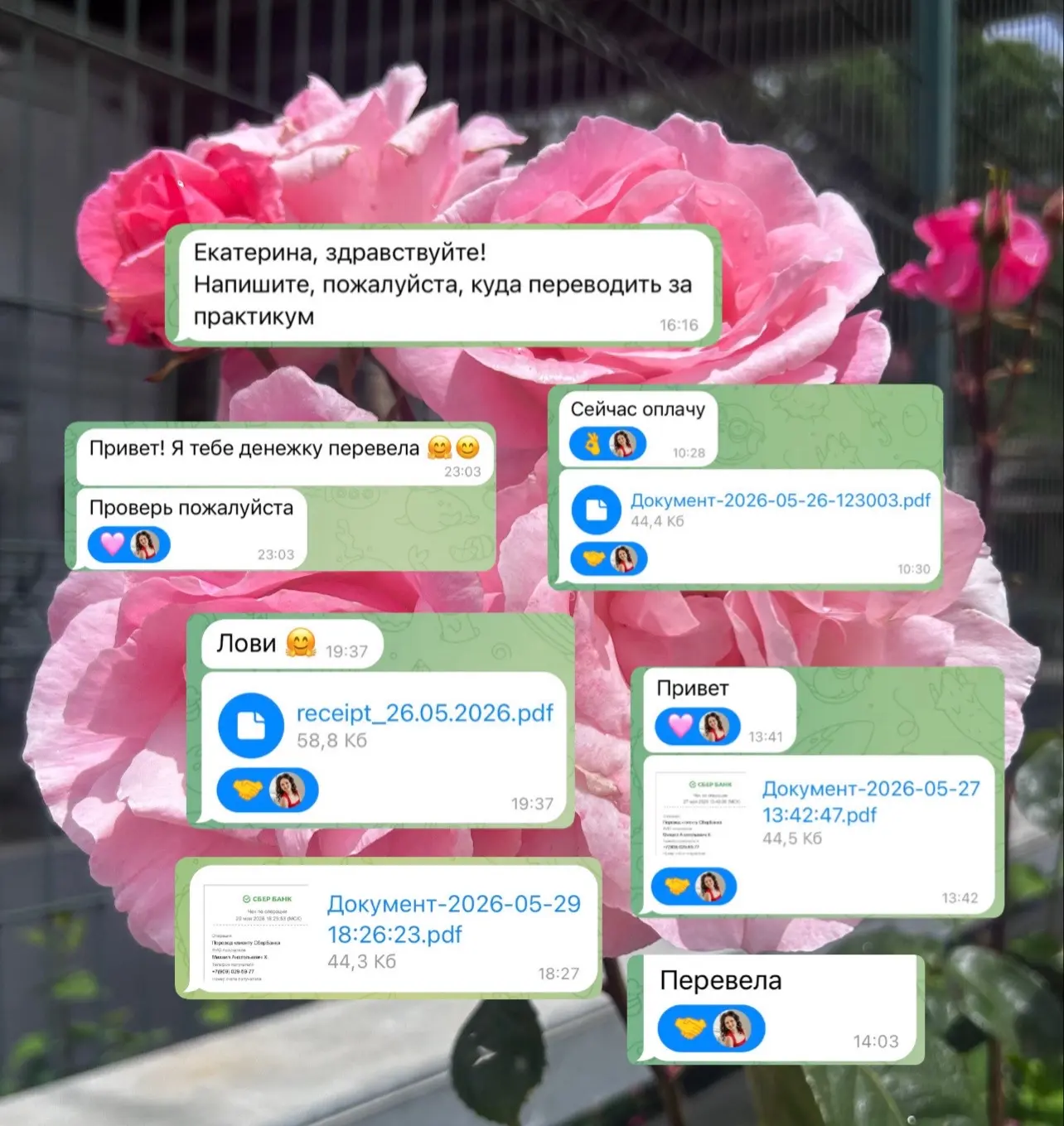 У МЕНЯ УЖЕ 8 ОПЛАТ ЗА ПРАКТИКУМ, И ЧЕСТНО – Я ОЧЕНЬ РАДА НЕ ИЗ-ЗА ДЕНЕГ