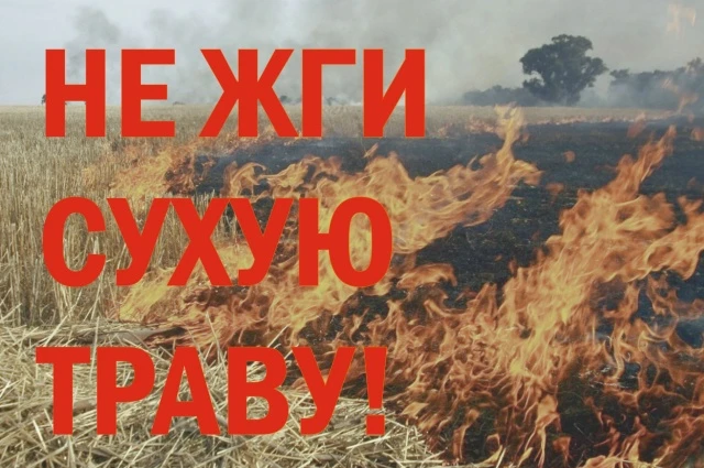 ВНИМАНИЕ! ПАЛ ТРАВЫ - ЭТО ПРЕСТУПЛЕНИЕ, А НЕ "УБОРКА"!
