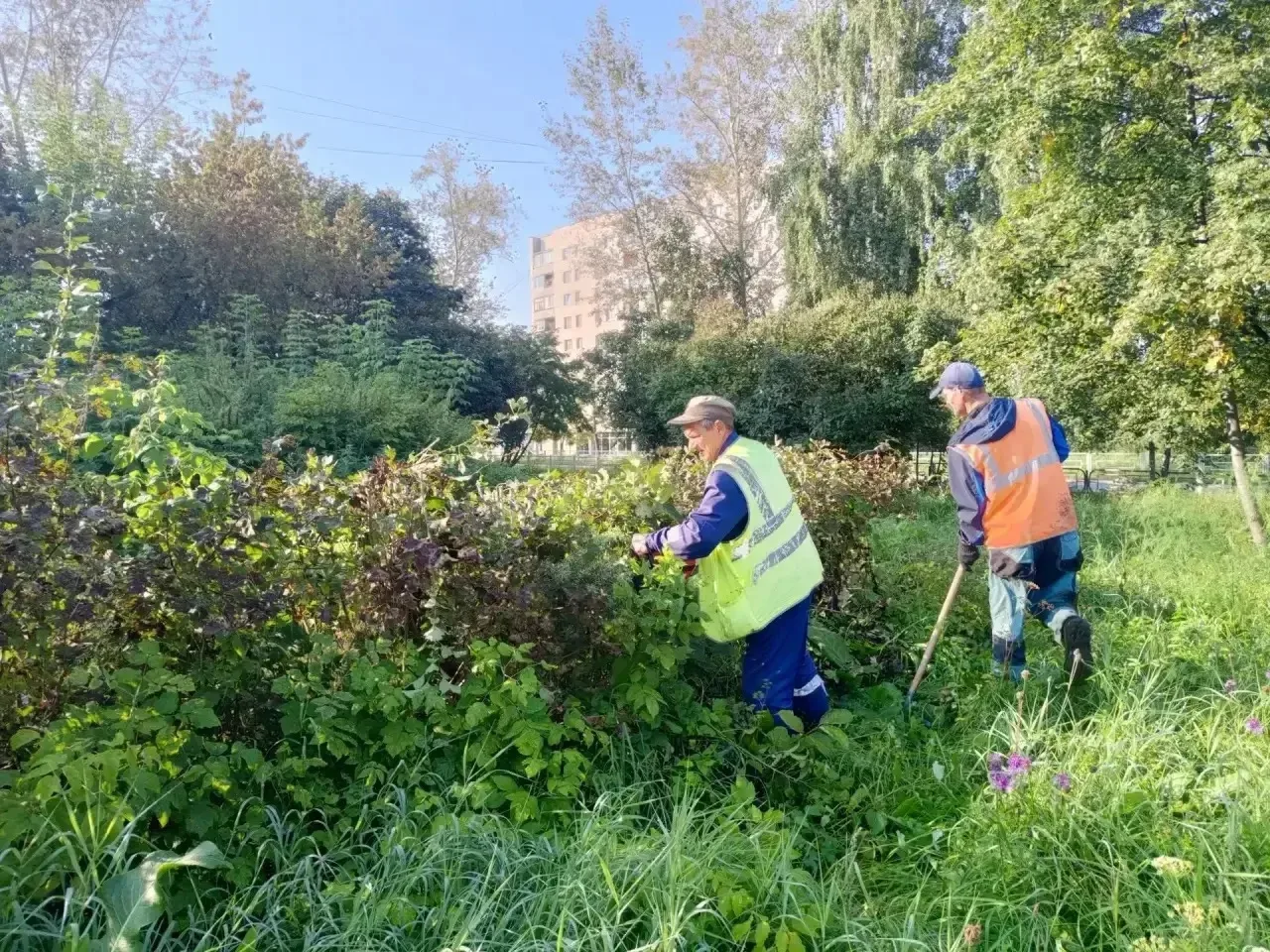 🌿 Благоустройство общественных пространств продолжается