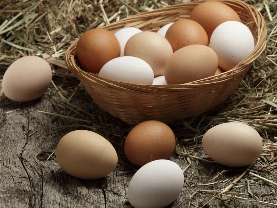 🥚 Яйца: мифы о холестерине и реальная польза

«Не ешь больше 2 яиц в неделю, холестерин подскочит!»