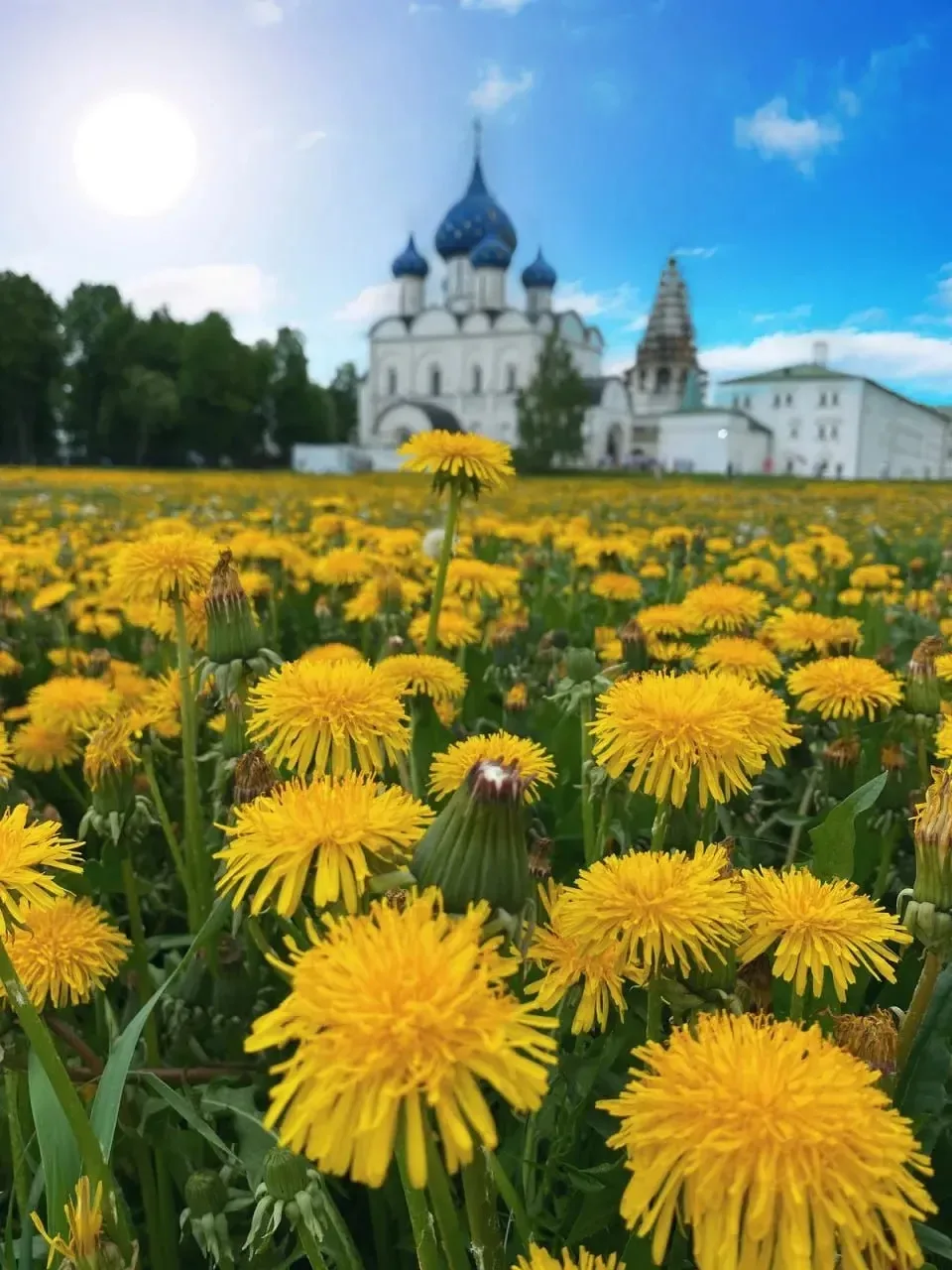 🚂 ЖД тур из Перми
☀️ Золотое кольцо, Ярославль – Ростов Великий – Сергиев Посад – Кострома – Суздал