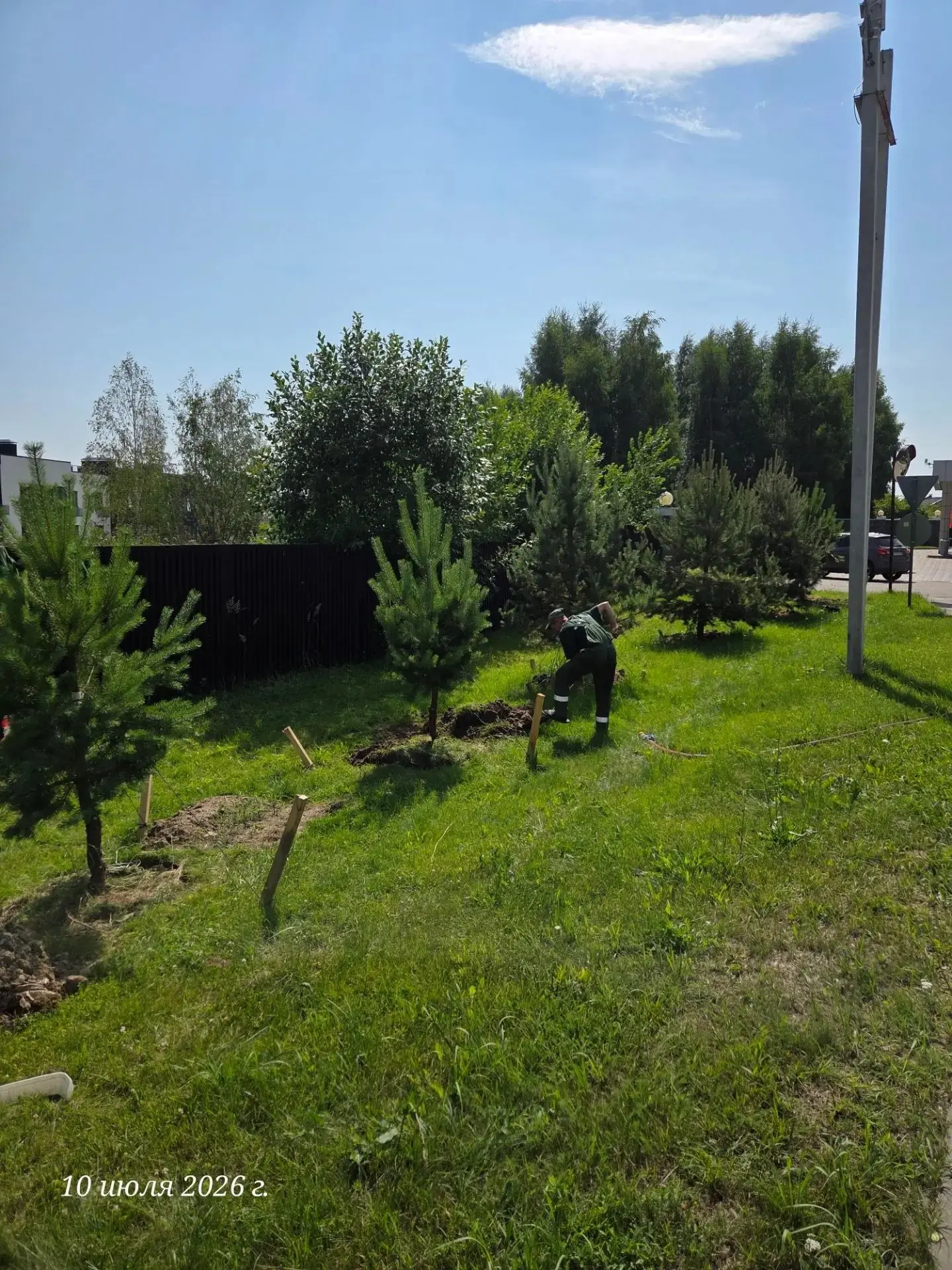 🌿 Добрый день, Доброград!