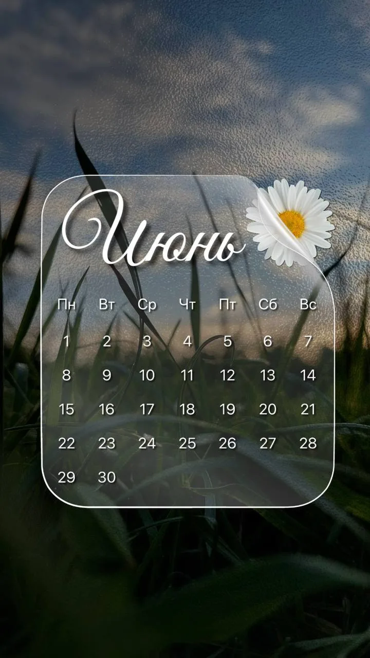 Друзья, с первым днем лета! 🌸
