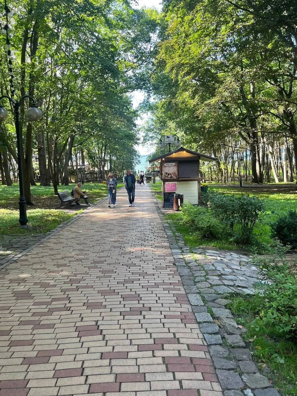 Пожелай нам, Осень, веры и терпенья,