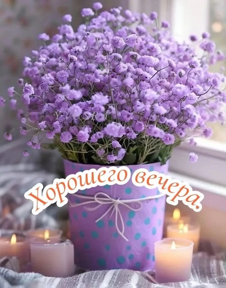 🥰 Оставляйте реакции, если понравилась открытка и делитесь с близкими ❤