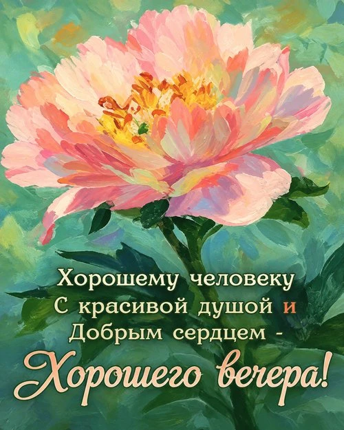 Хорошего вечера! Пусть этот вечер подарит вам ощущение, что всё хорошо. Что вы всё дела...