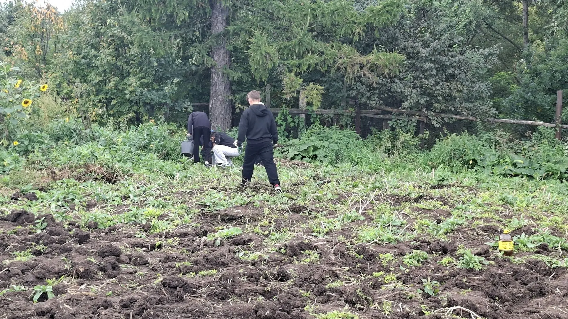 Солидарность в действии: волонтёры Бирского района объединились, чтобы помочь семье уча...