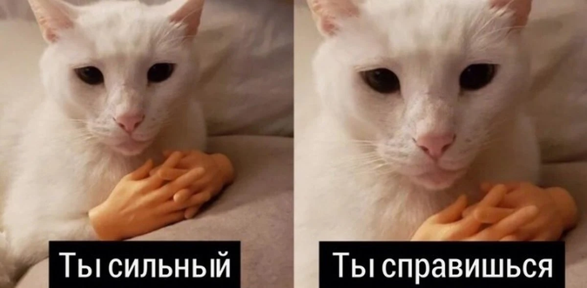 Доброе утро, Кировский! ☀️💛