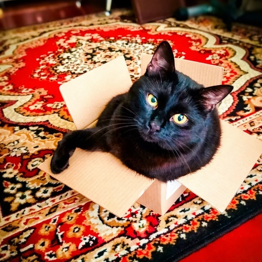 Как подготовиться к переезду? Вот что говорит народная мудрость:

📦 первой впустите в новую квартир