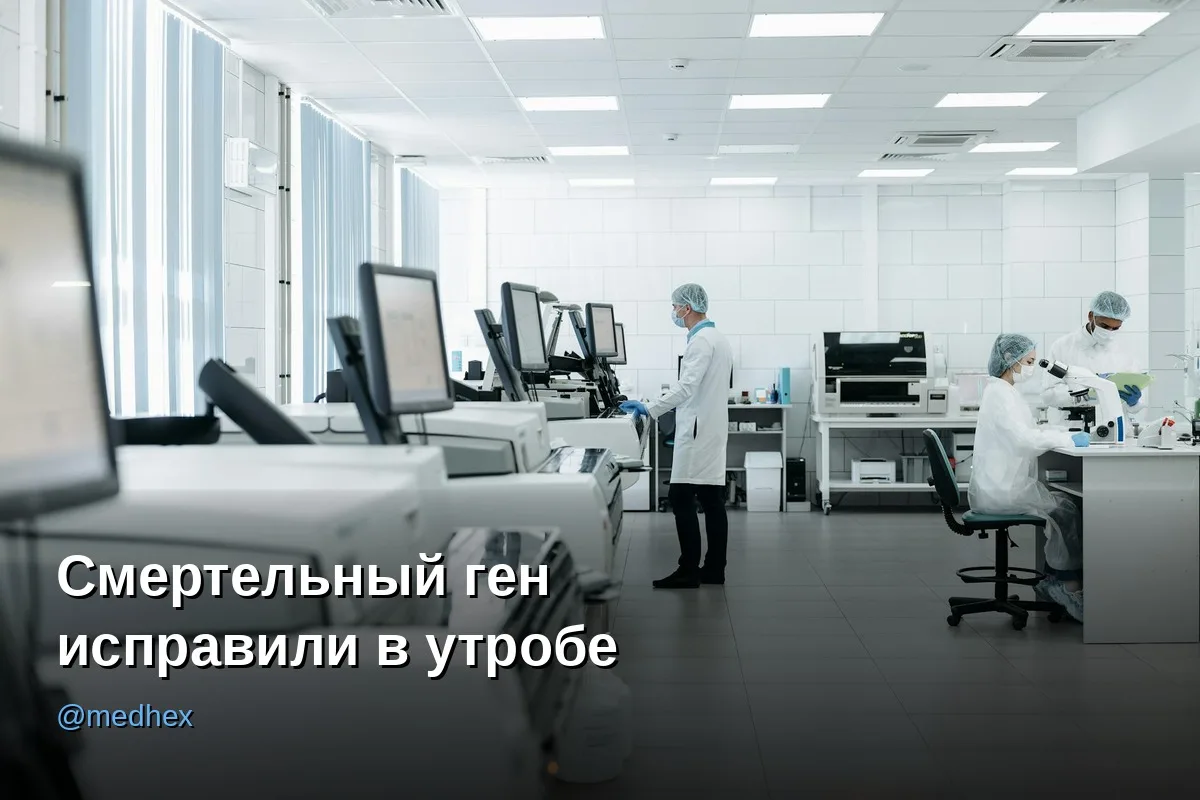 🧬 Учёные впервые остановили смертельную болезнь у мышей ещё до рождения

——————————

Болезнь, котор