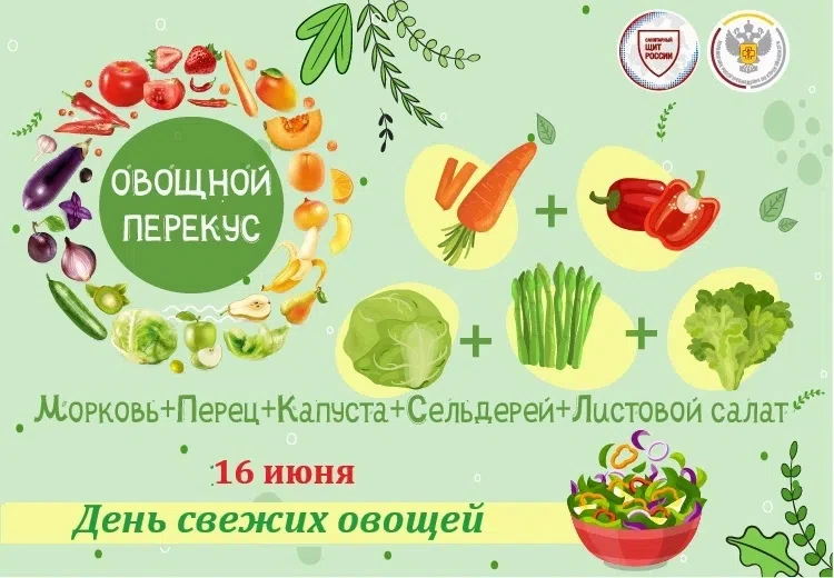 Свежие овощи и блюда с ними — для здорового перекуса

🍴😋 Для нормального пищеварения и поддержания