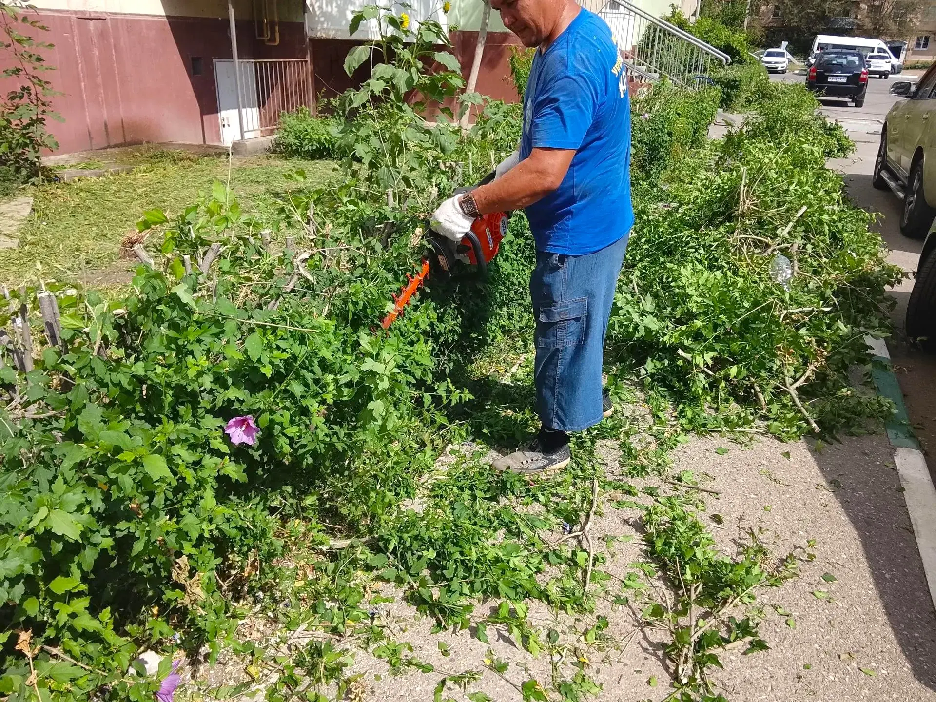 К новости «✂️ 🌿 Форма имеет значение:»