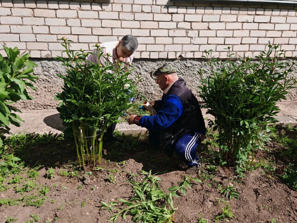 Сегодня у нас настоящий день труда и заботы! 🌿🌼