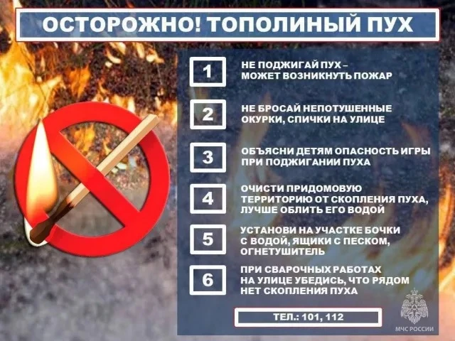 ⚠️ Тополиный пух — скрытая причина возникновения пожаров!
🔥 В летний период особое внимание к прави