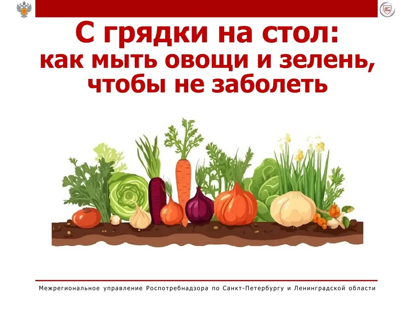 📍С грядки на стол: как мыть овощи и зелень, чтобы не заболеть? 🍅🥬

🌞 Лето — пора свежих витамино