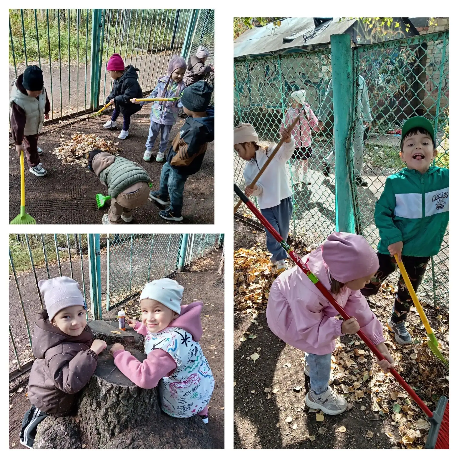 Собираем листики,