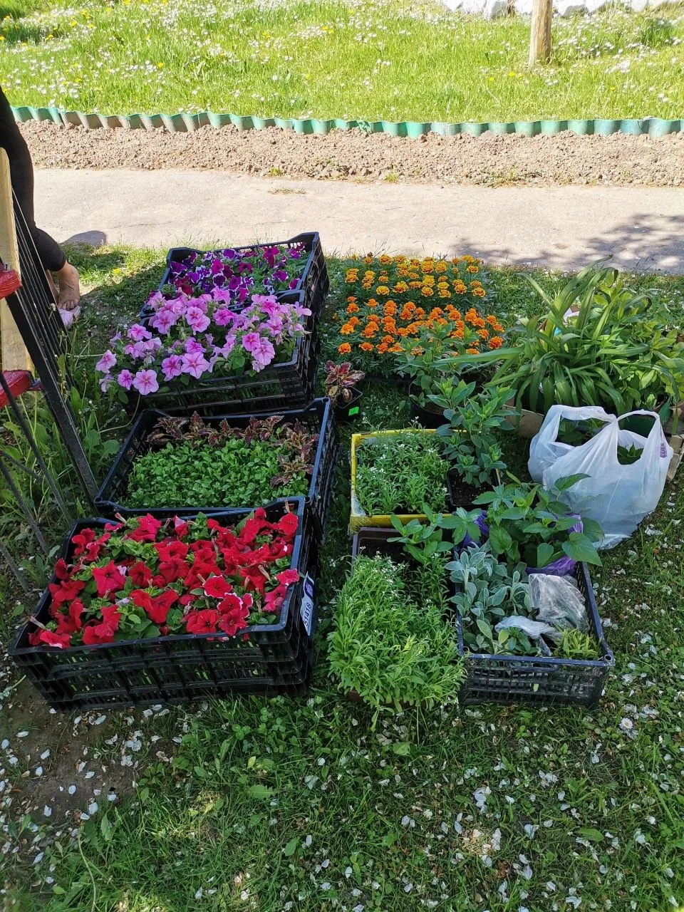 ✨Цветущий уголок: совместная работа ради красоты  🏡🌼🌱🌷Ежегодно территория Никольского психоневрологи