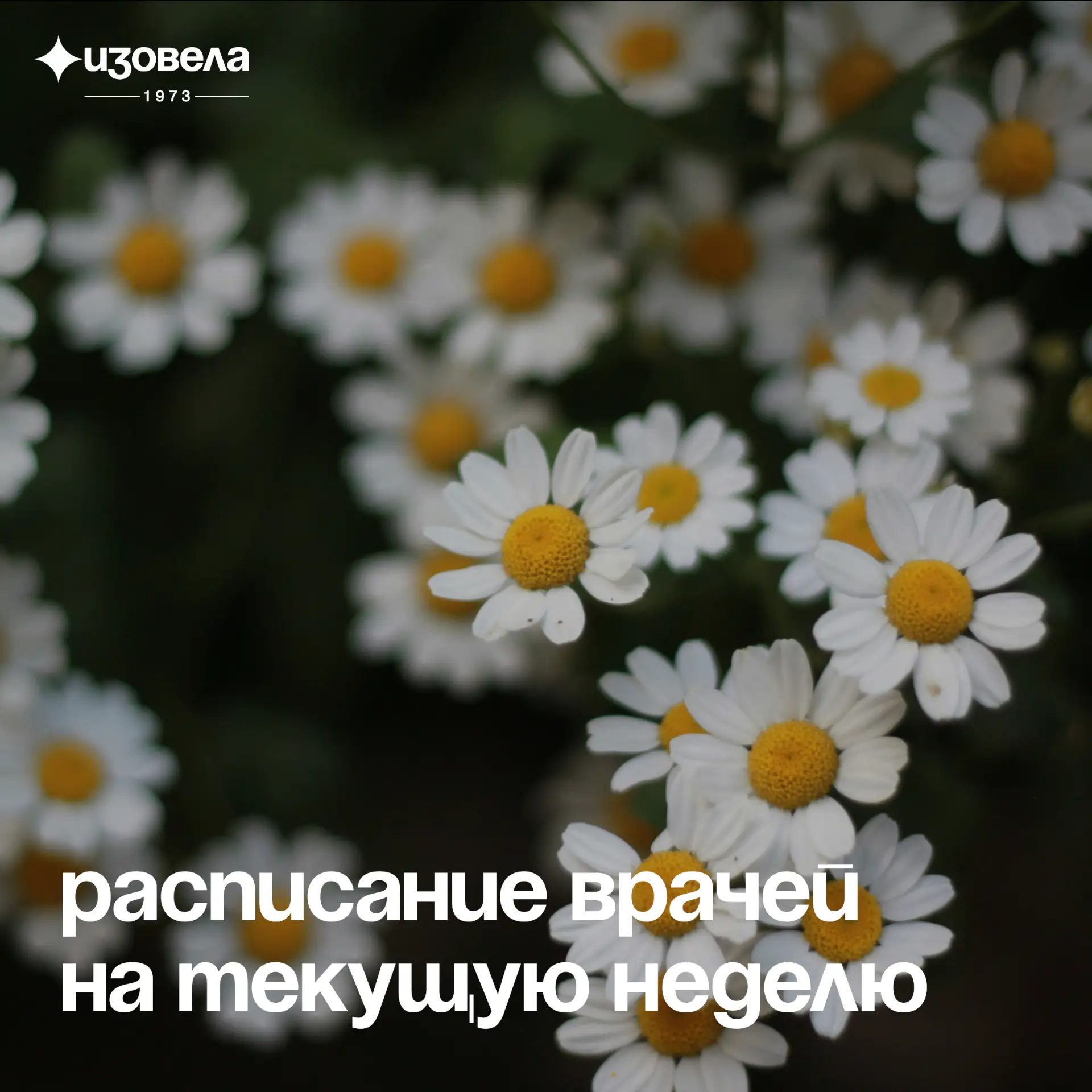 ✨ Открыта запись на приём к врачам медицинского центра и приглашённым специалистам на э...