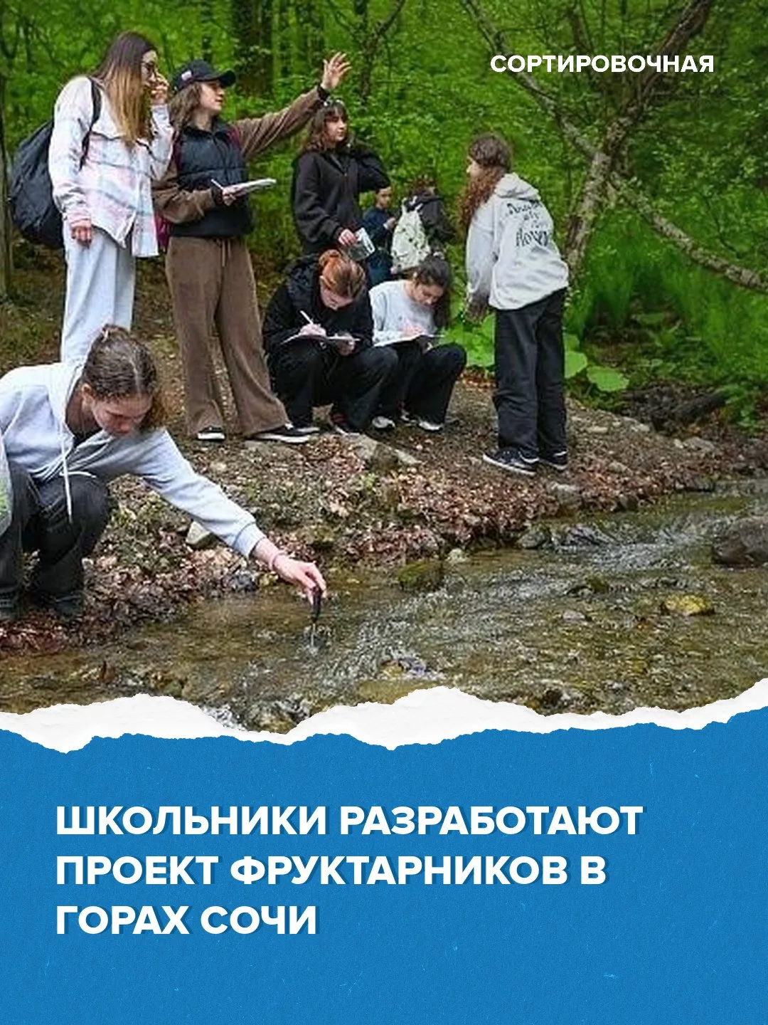 🍐 Осенью на основе предложений школьников заложат первые фруктарники в Сочи