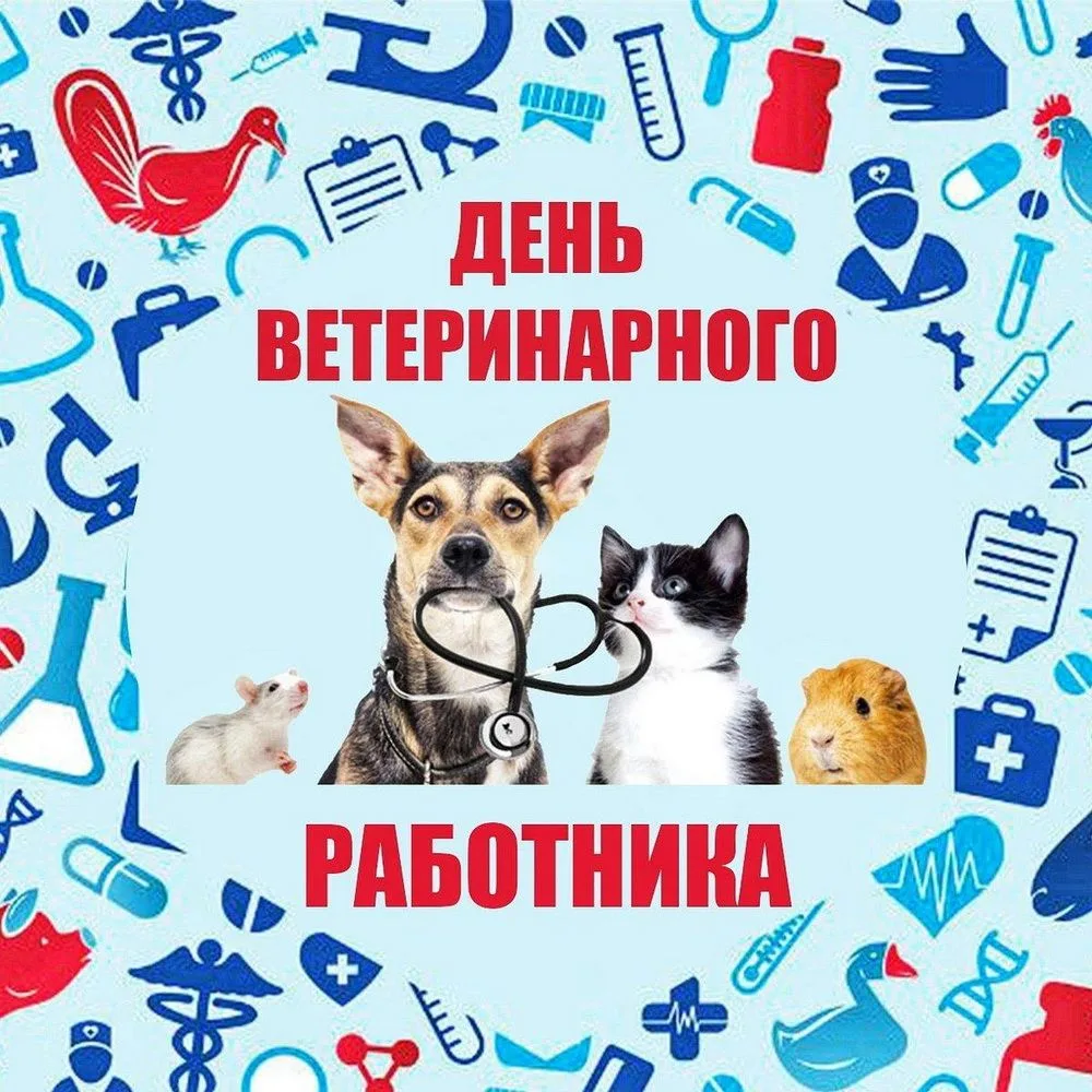 31 августа 2026 года – День ветеринарного работника