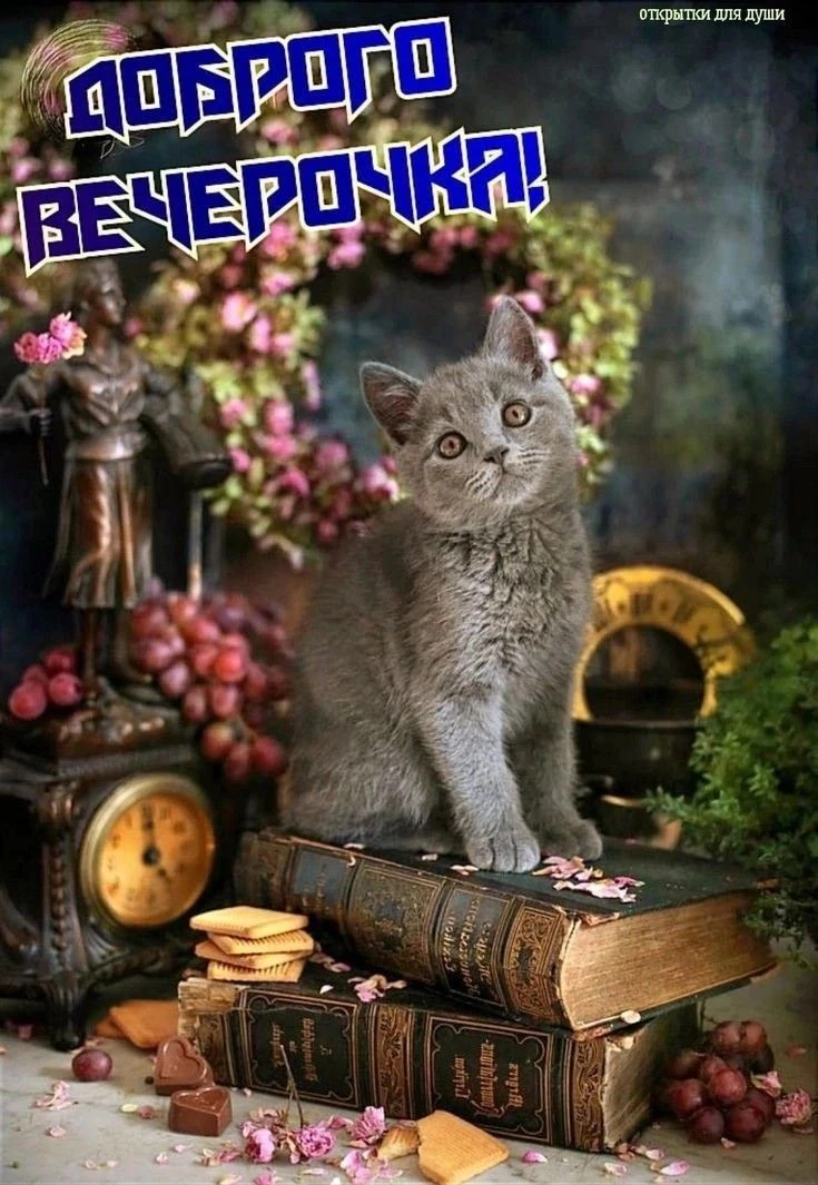 Лучшая открытка!
Подпишись и сохрани открытку