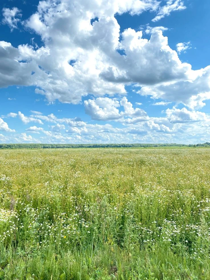 Доброе утро!
 Прогноз погоды на 28 июля

🔹В Дружбе сегодня +26°, +36°, переменная облачность, осадк
