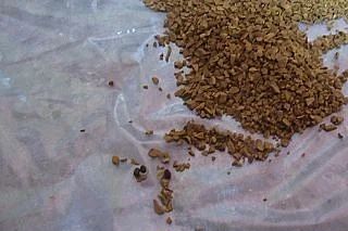 📛В банках кофе пытались передать наркотики осужденному