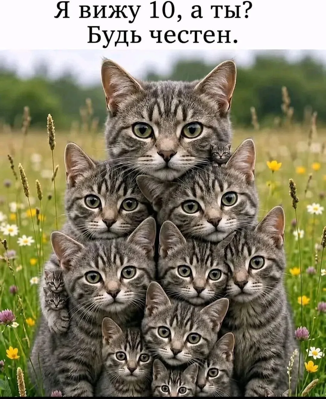 🤓Загадки выходного дня от доктора Акимова.