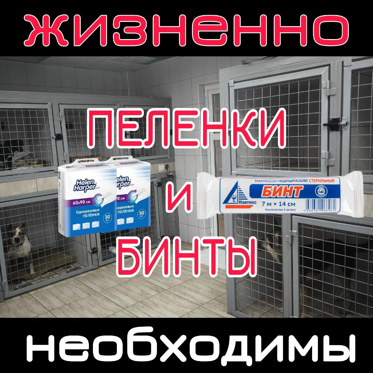 Запасы пеленок в приюте на😭НУЛЕ😭... Всë, нет ни одной((((
Друзья! 🆘🆘🆘 Подписчики! 
Мы снова с п