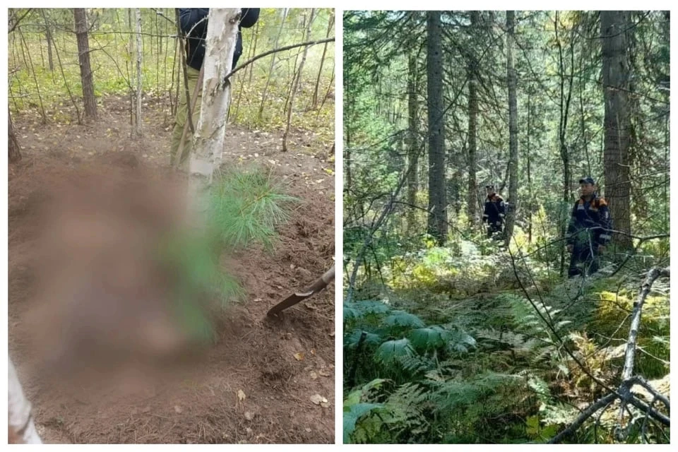 😱 Грибников нашли растерзанными хищником: в Красноярском крае медведь задрал двух женщ...