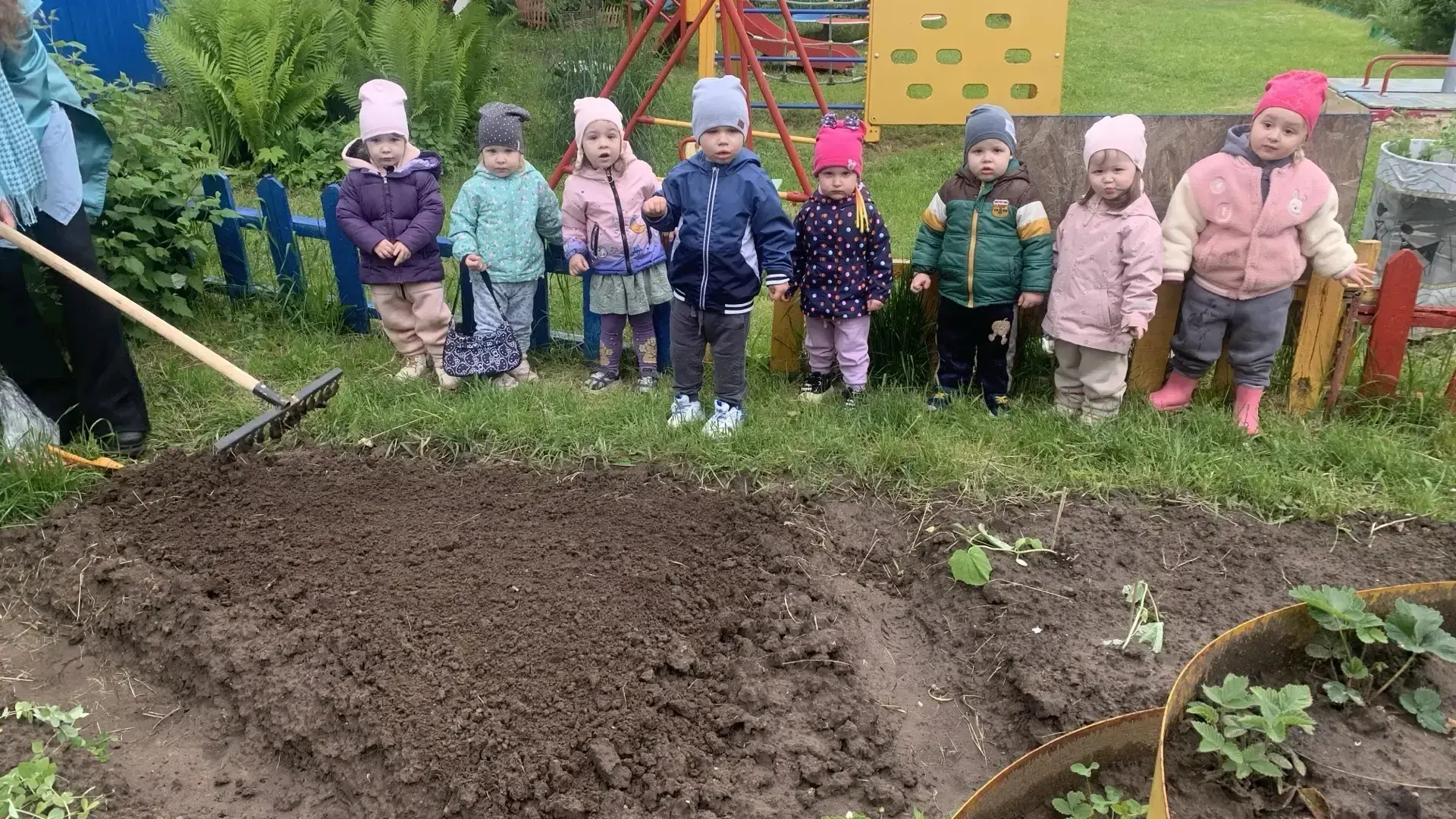 🌱 Маленькие агрономы и наш огород.