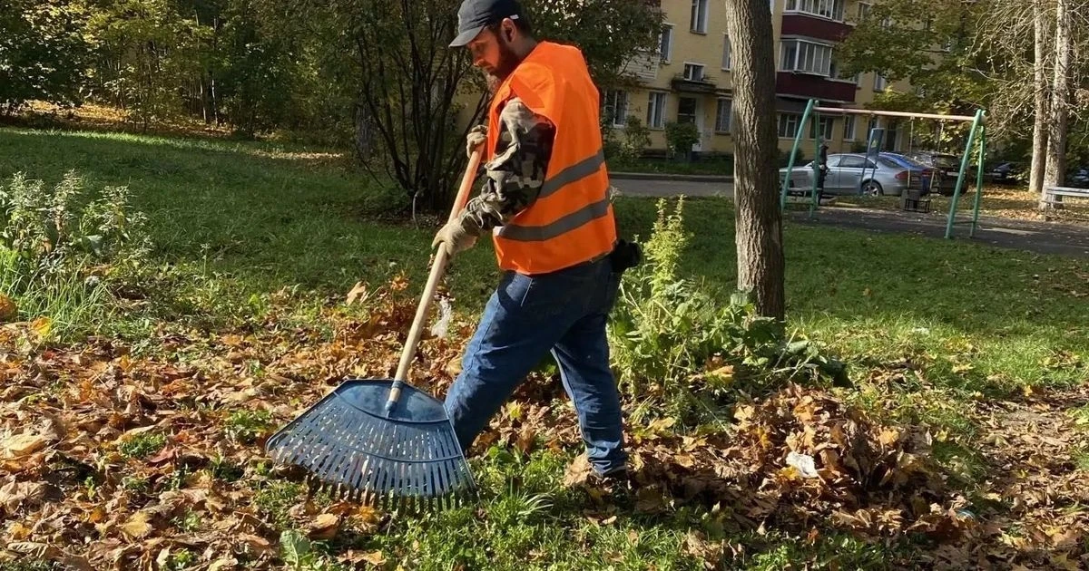 В Селятине уберут опавшую листву до заморозков 🍂