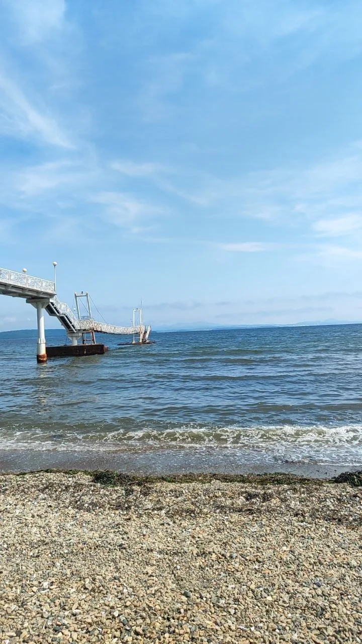 Вот такая погодная обстановка сегодня на Тавайзе, уже есть купающиеся, берег чистят!👍
15.06

➡️ Есл