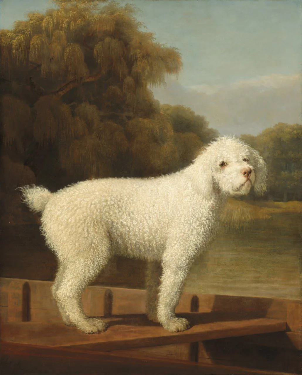 Белый пудель в лодке (ок. 1780).