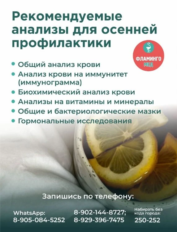 02.10 (пятница) 🦩