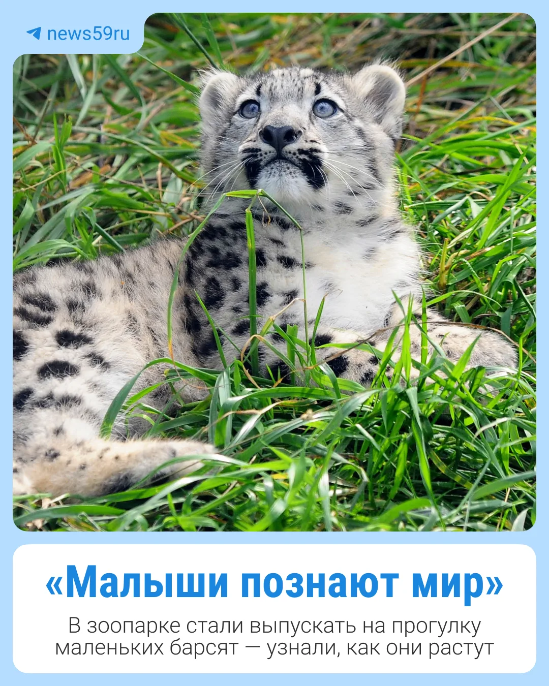 «Малыши познают мир» 🥹